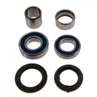 Wheel bearing and seal kit 251473
