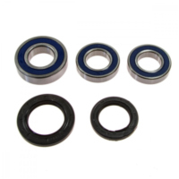 Wheel bearing and seal kit 251493