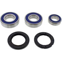 Wheel bearing and seal kit 251547