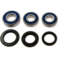 Wheel bearing and seal kit 251557
