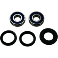 Wheel bearing and seal kit 251558