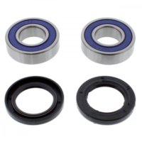 Wheel bearing and seal kit 251562