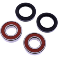 Wheel bearing and seal kit WBK006