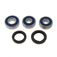 Wheel bearing and seal kit 251600