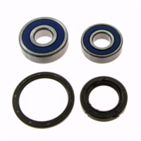 Wheel bearing and seal kit 251602