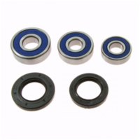 Wheel bearing and seal kit 251603