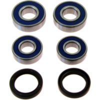 Wheel bearing and seal kit 251646