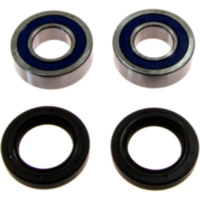 Wheel bearing and seal kit 251654