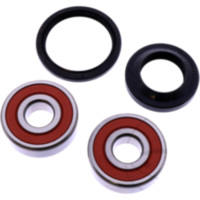 Wheel bearing and seal kit WBK102