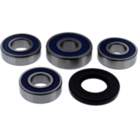 Wheel bearing kit complete all balls racing 251771