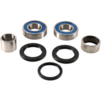 Wheel bearing kit complete all balls racing 251789