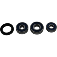 Wheel bearing kit complete all balls racing 251793