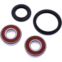 Wheel bearing and seal kit WBK127