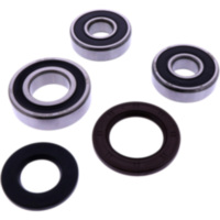 Radlager Satz komplett JMP mit Wellendichtring 1266375