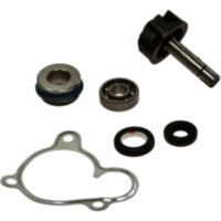 Water pump repair kit 100110270