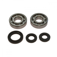 Crankshaft bearing kit 241028
