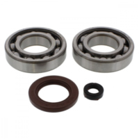crankshaft Bearing  Set P400510444005