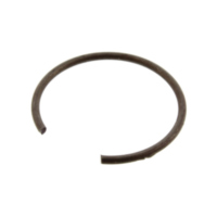 Circlip (orig spare part) 875096