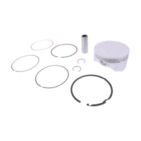 Piston kit 99.95mm a prox 012664A