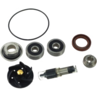 Wasserpumpe Reparatursatz JMP 1232988