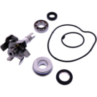 Wasserpumpe Reparatursatz JMP 1248599