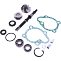 Wasserpumpe Reparatursatz JMP 2976