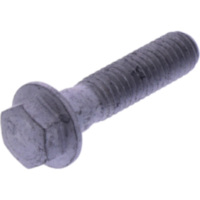 VALVE COVER BOLT (OE SPARE PART) 3100