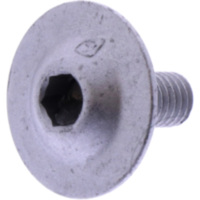 Schraube Ventildeckel Originalersatzteil 1288849