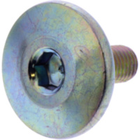 VALVE COVER BOLT (OE SPARE PART) 3178