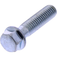 VALVE COVER BOLT (OE SPARE PART) 3191