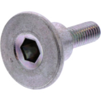 VALVE COVER BOLT (OE SPARE PART) 3193