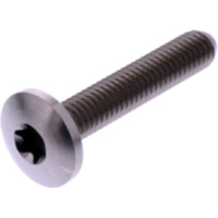 VALVE COVER BOLT (OE SPARE PART) 3207