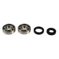 Crankshaft bearing kit P400250444001