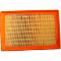 Air filter mahle LX18411