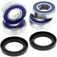 Wheel bearing for single rear wheel all balls racing