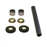 Swing arm bearing kit 281020