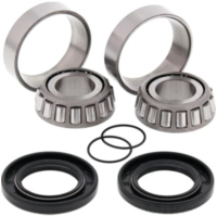 Swing arm bearing kit 281058