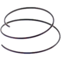 Spring for rebound damping