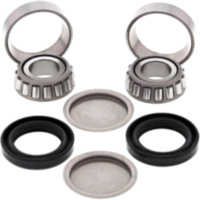 Swingarm bearing repair kit all balls racing 281214