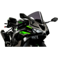 SCREEN R-RACING PUIG 2936