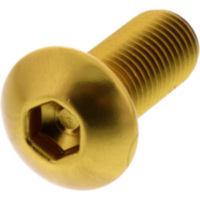 Dome head bolt probolt LFB1025FG