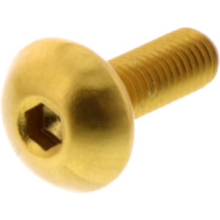 Dome head bolt probolt LFB516G