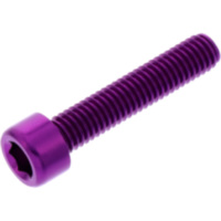 Hex socket cap screw probolt LPB630P