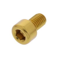 Hex socket cap screw probolt LPB812G