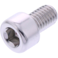 Hex socket cap screw probolt LPB812S