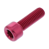 Hex socket cap screw probolt LPB825R