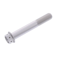 Hex bolt probolt LHX1065FRSE