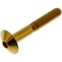Dome head bolt jmp LSSFB640G