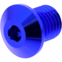 BLANKING PLUG MIRROR THREAD DAYTONA 3622