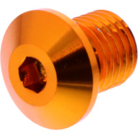 BLANKING PLUG MIRROR THREAD DAYTONA 3623